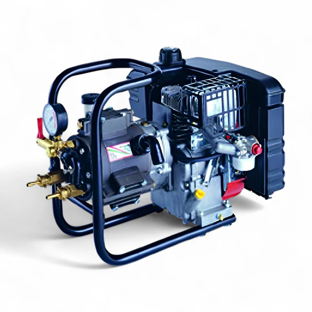 Pompa ad alta pressione con motore 4 tempi 5 HP e supporto per irrorazione Dl325 - immagine 2