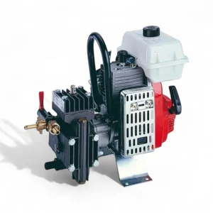 Pompa ad alta pressione con motore 2 tempi 2 Hp per irrorazione Dl218